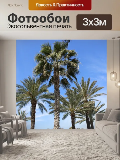 Фотообои Пальмы