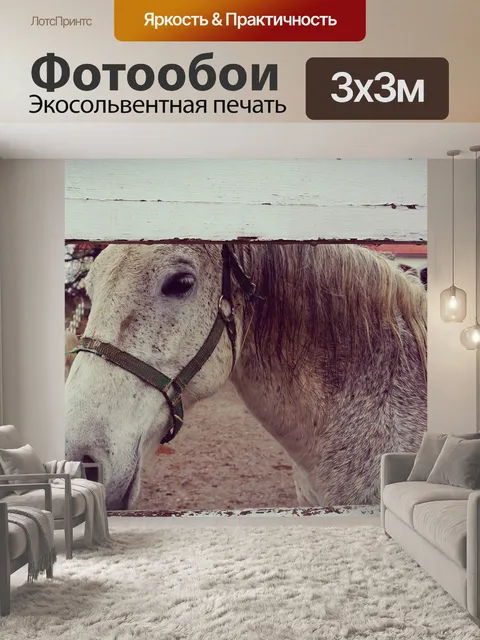Фотообои Лошадь