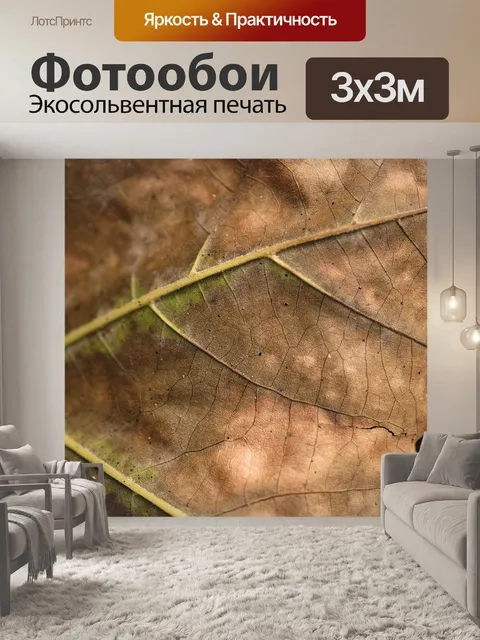 Фотообои Лист