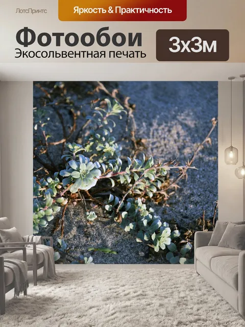 Фотообои Ocean Букет