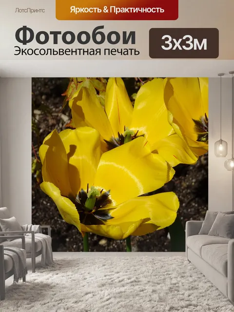 Фотообои Желтые цветы