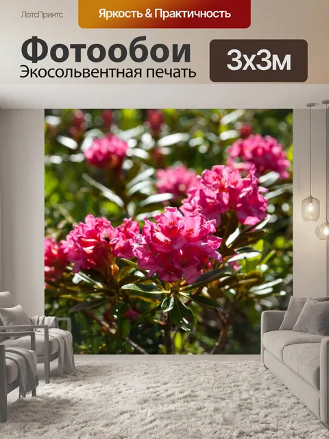 Фотообои Альпийская роза