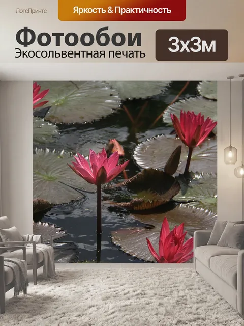 Фотообои Цветок лотоса