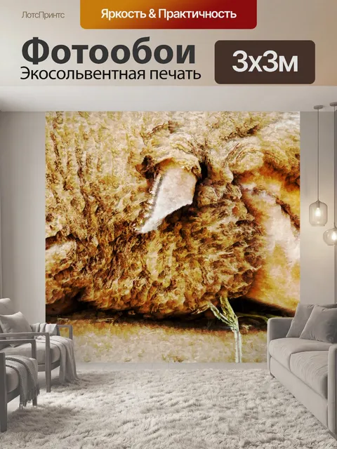 Фотообои Спящий Агнец