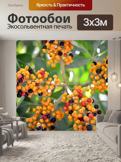 Фотообои Ягоды