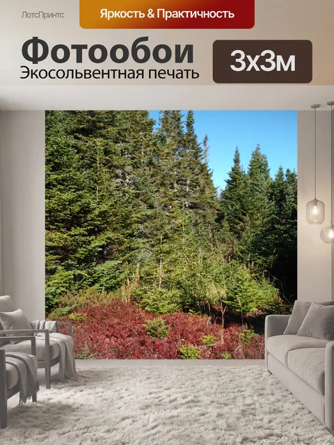 Фотообои Ель, пихта и четыре раза