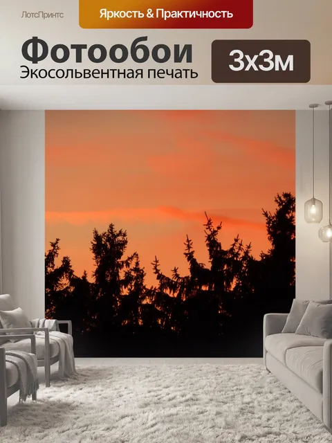 Фотообои Ели