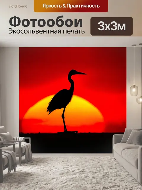 Фотообои журавль на фоне заката