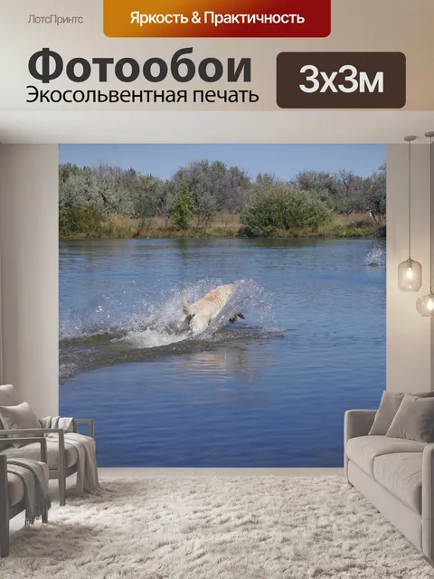 Фотообои Собака