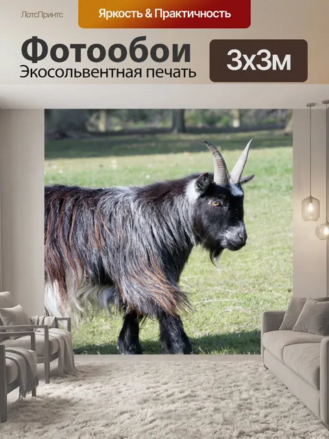 Фотообои Козел