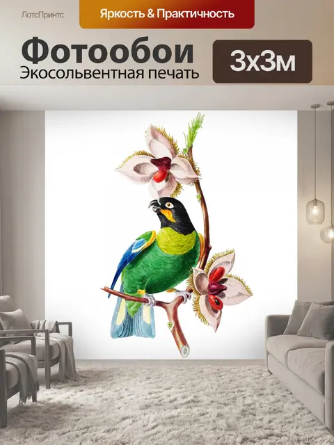 Фотообои Птица Попугай Старинное Искусство