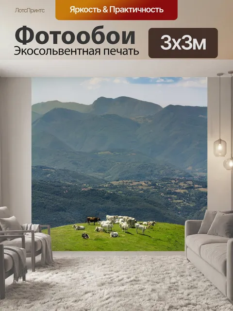 Фотообои Панорама