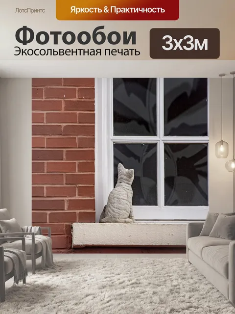 Фотообои Кошка в окне