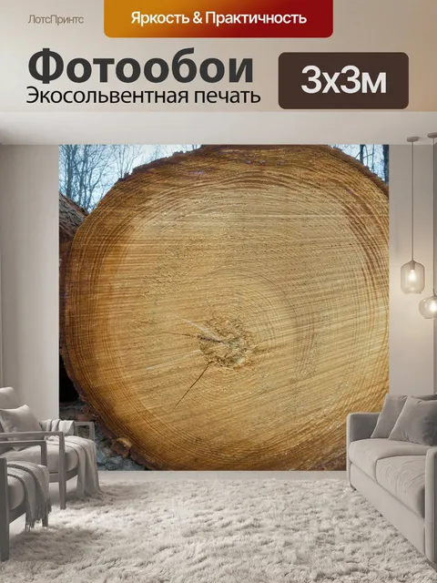 Фотообои Древесина