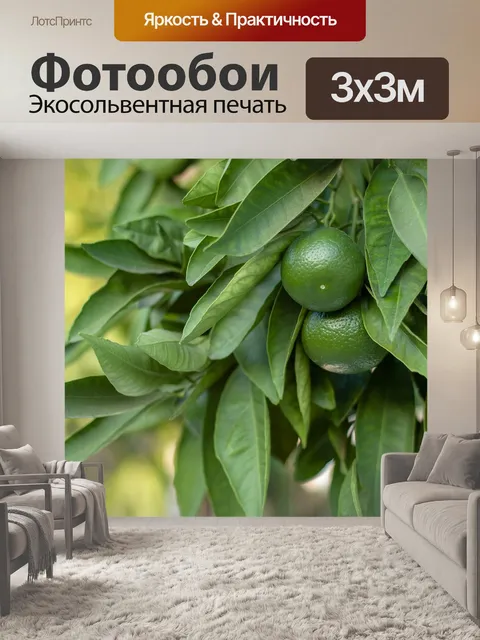 Фотообои Лайм
