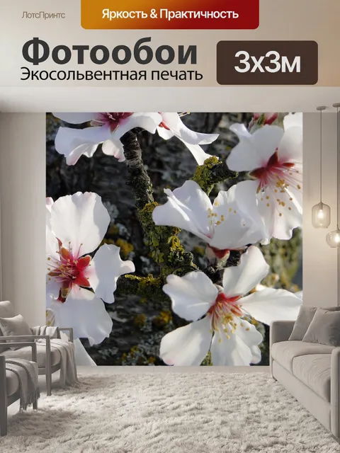 Фотообои Цветок миндаля