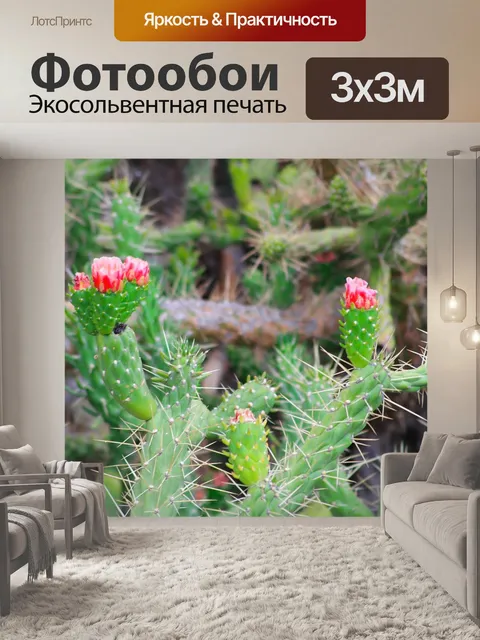 Фотообои Кактус