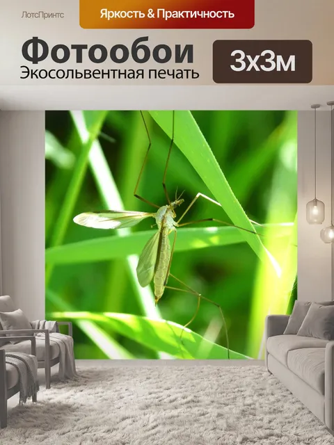 Фотообои Комар