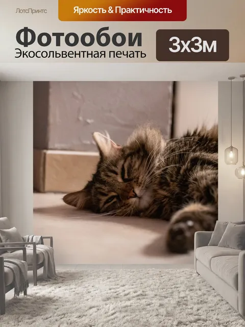 Фотообои Кошка