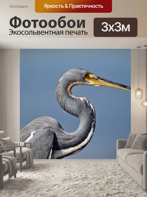 Фотообои Трехцветный