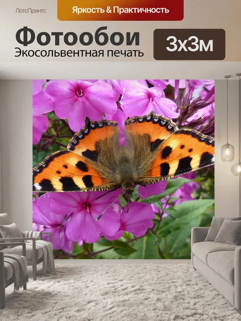 Фотообои Маленькая лиса