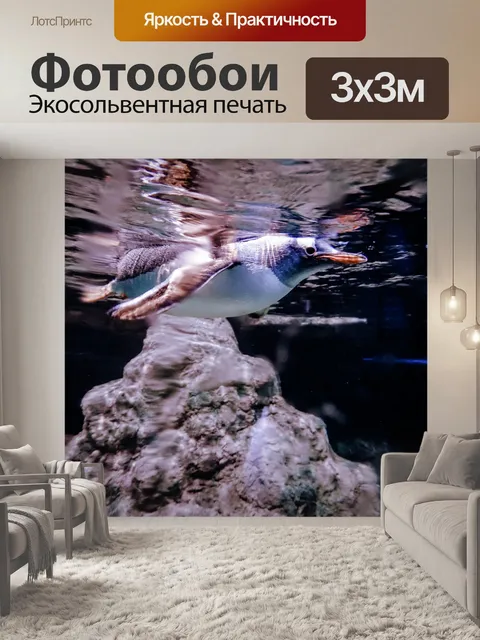 Фотообои Пингвин