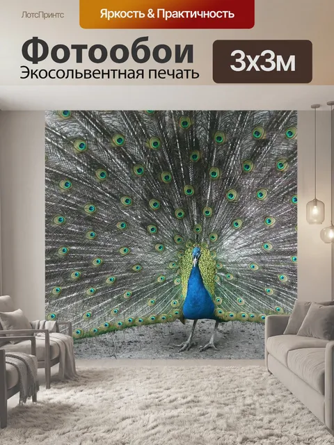 Фотообои Павлин