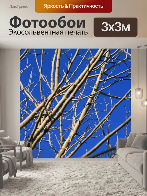 Фотообои голые ветки и ветви