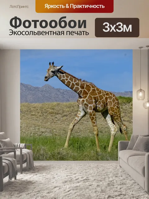 Фотообои Жираф на Саванне