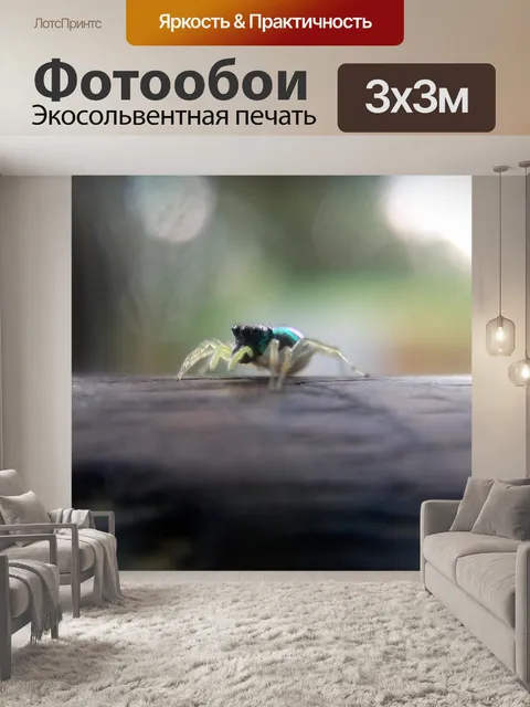 Фотообои Пауки