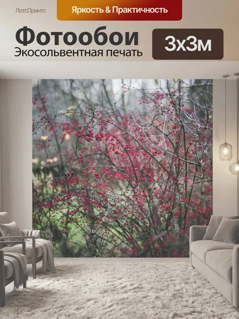 Фотообои Лес