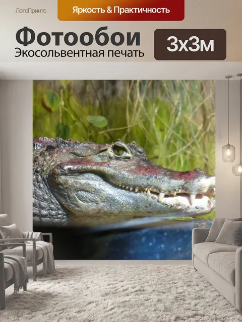Фотообои Крокодил над водой