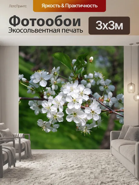 Фотообои Цветение вишни