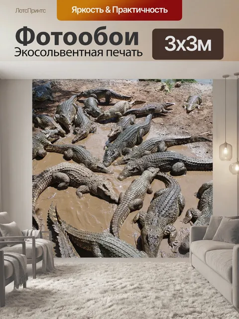Фотообои Куба