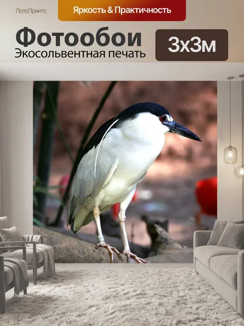 Фотообои Птица
