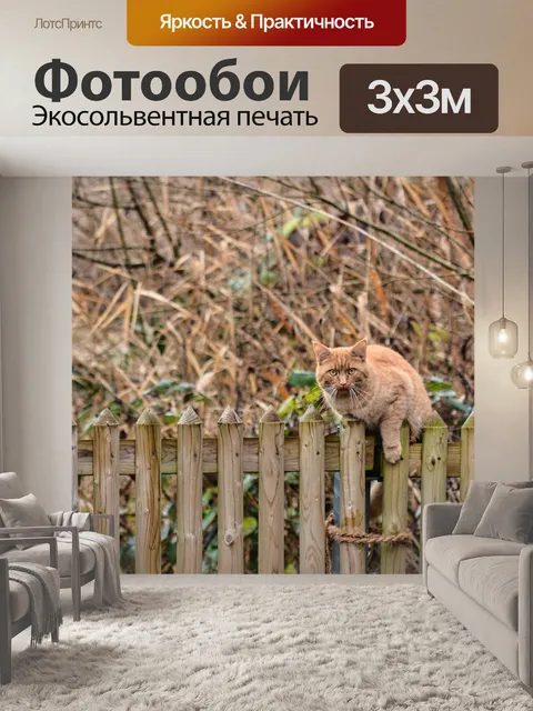 Фотообои Кошка