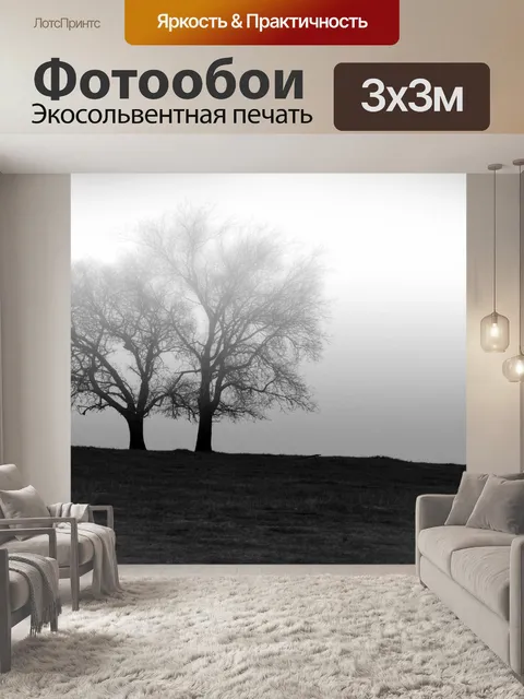 Фотообои Страна