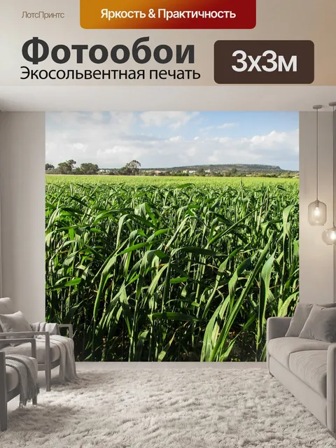Фотообои Травяное поле