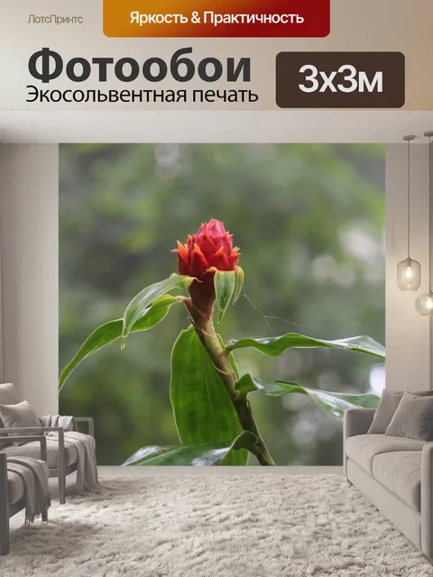 Фотообои Цветущий Дикий Цветок