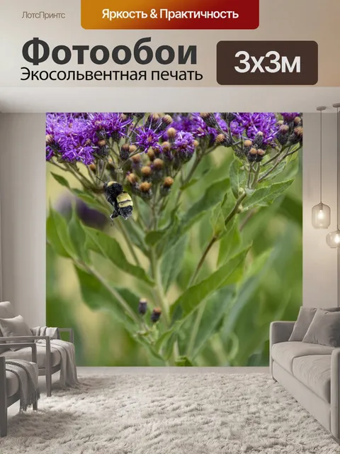 Фотообои пчела на полевых цветах