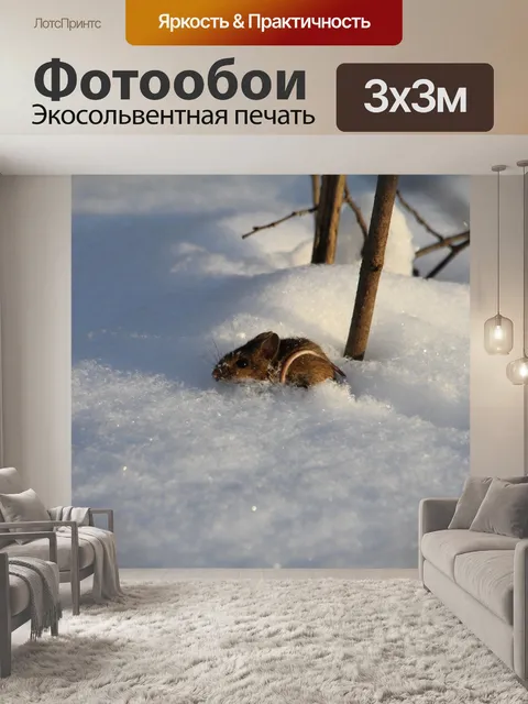 Фотообои Winter