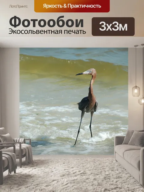 Фотообои Красный цапля