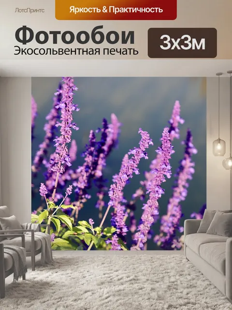 Фотообои Фиолетовый