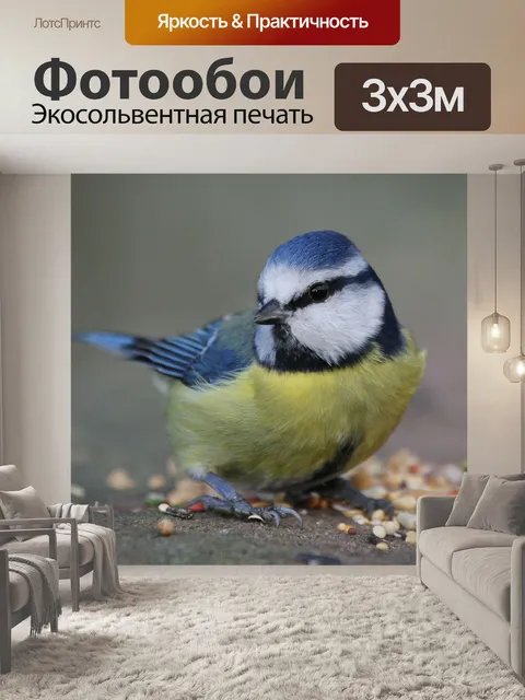 Фотообои Лазоревка