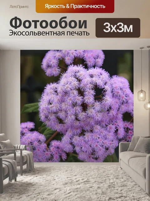 Фотообои Фиолетовый туман цветок