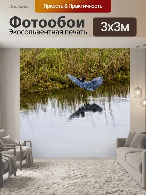 Фотообои голубая цапля