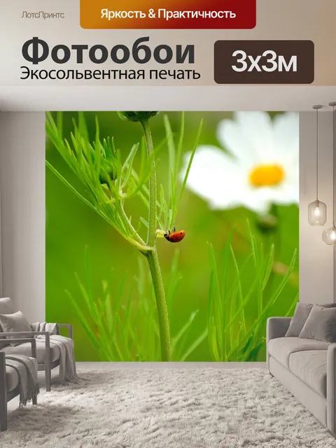 Фотообои Божья коровка