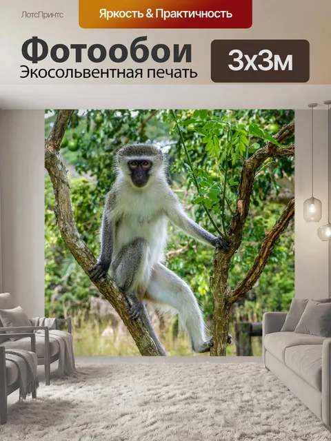 Фотообои Африка