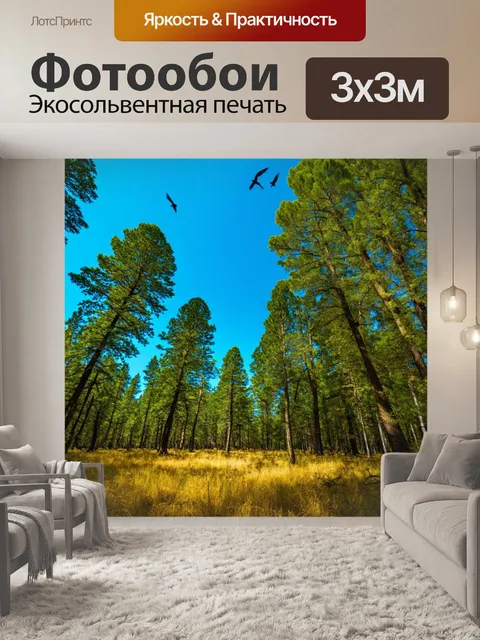 Фотообои лес с чётким и чистым небом, высокие деревья, птицы в небе, живописный пейзаж