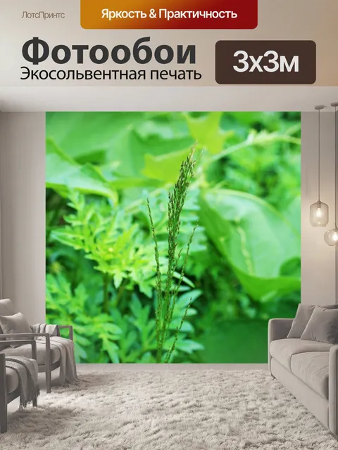 Фотообои веточка травы
